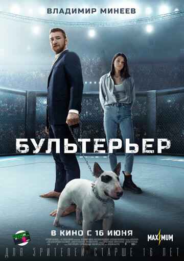 Бультерьер